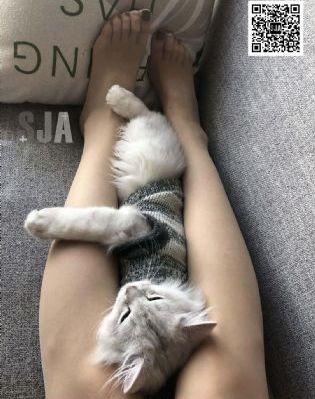 久久久久无码精品国产699_剧情片天堂在线